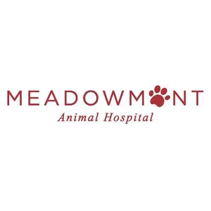 Team Page: Meadowmont Animal Hospital